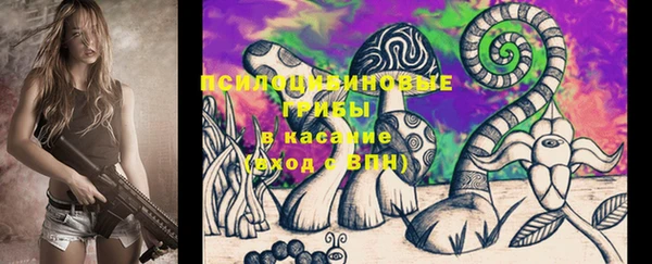 PSILOCYBIN Медвежьегорск