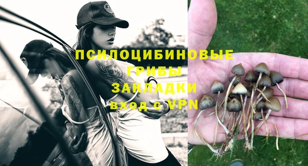 индика Михайловка