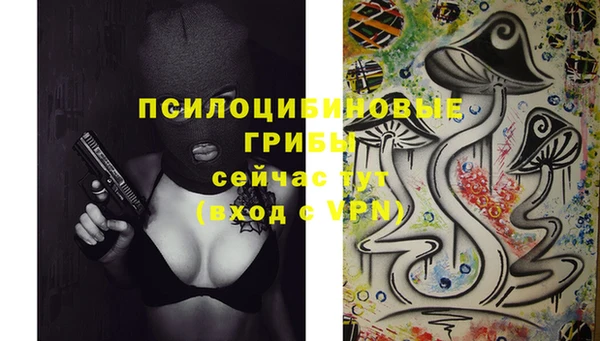 индика Михайловка
