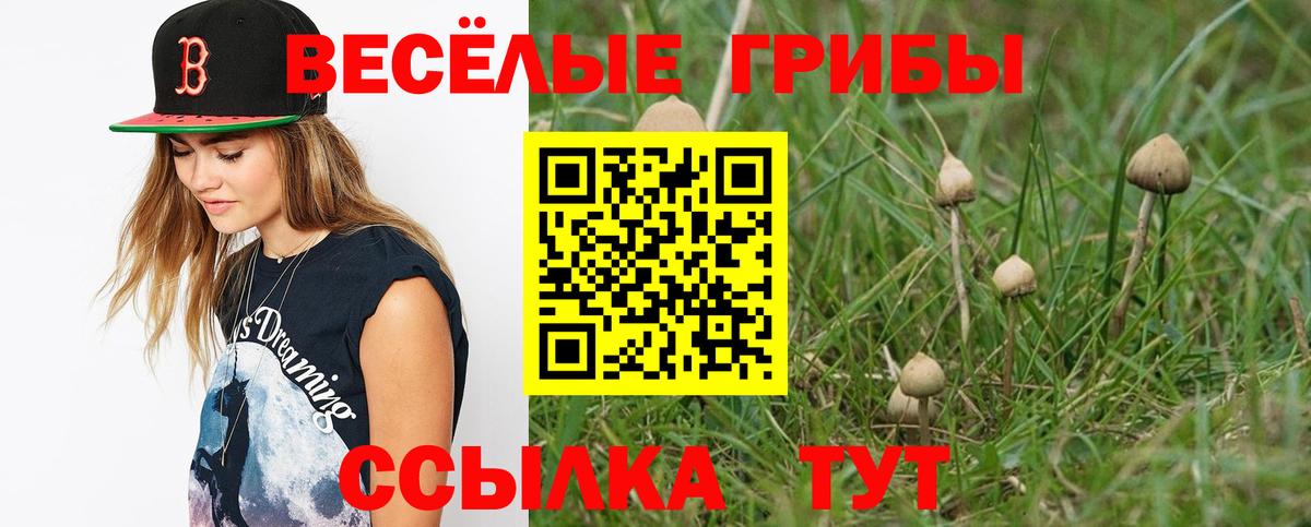 Псилоцибиновые грибы Psilocybine cubensis  Вход с VPN  Прокопьевск 